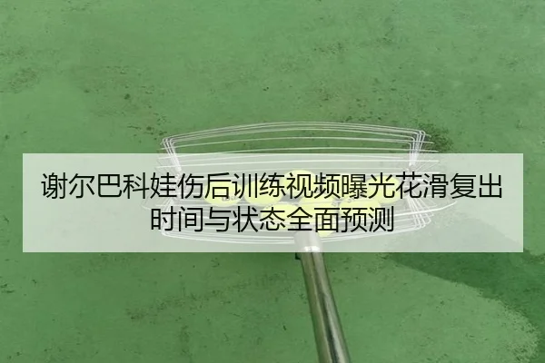 谢尔巴科娃伤后训练视频曝光花滑复出时间与状态全面预测